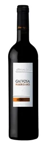 Alves de Sousa Gaivosa Primeiros Anos