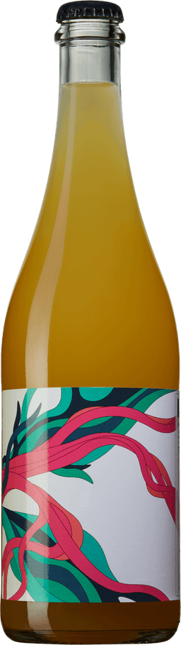Katja Taylors Dryg Cider
