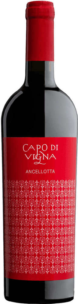 Ancelotta