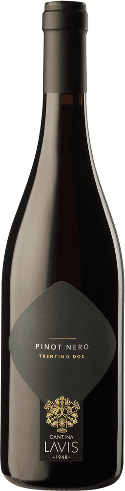 Cantina Lavis Pinot Nero