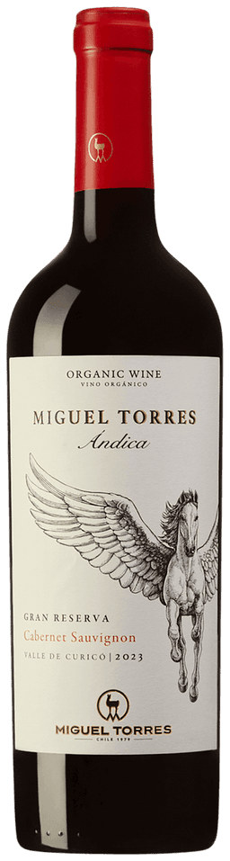 Andica Cabernet Sauvignon