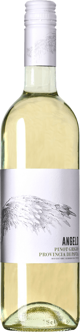 Angelo Pinot grigio